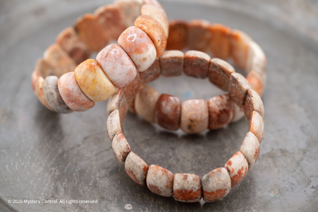 Moroccan Fossil Coral Bracelet