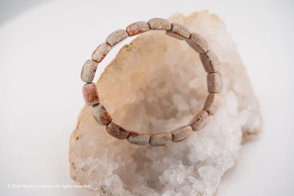 Moroccan Fossil Coral Bracelet