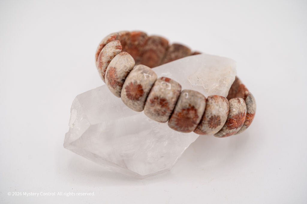 Moroccan Fossil Coral Bracelet