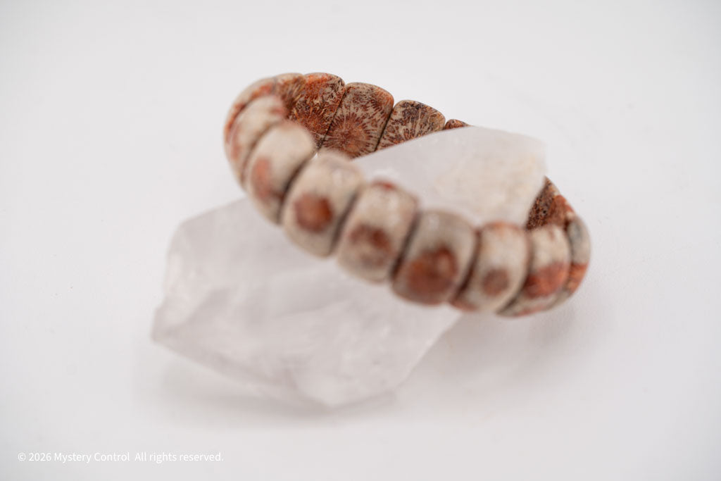 Moroccan Fossil Coral Bracelet