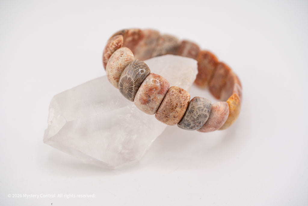 Moroccan Fossil Coral Bracelet