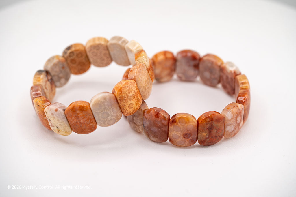 Chunky Fossil Coral Bracelet