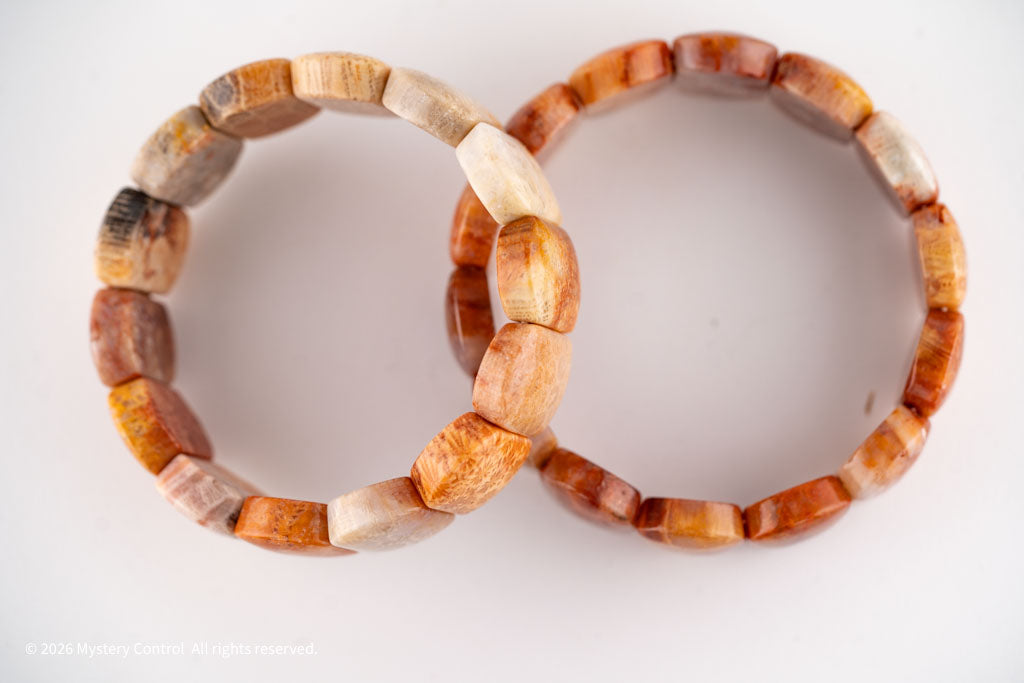 Chunky Fossil Coral Bracelet