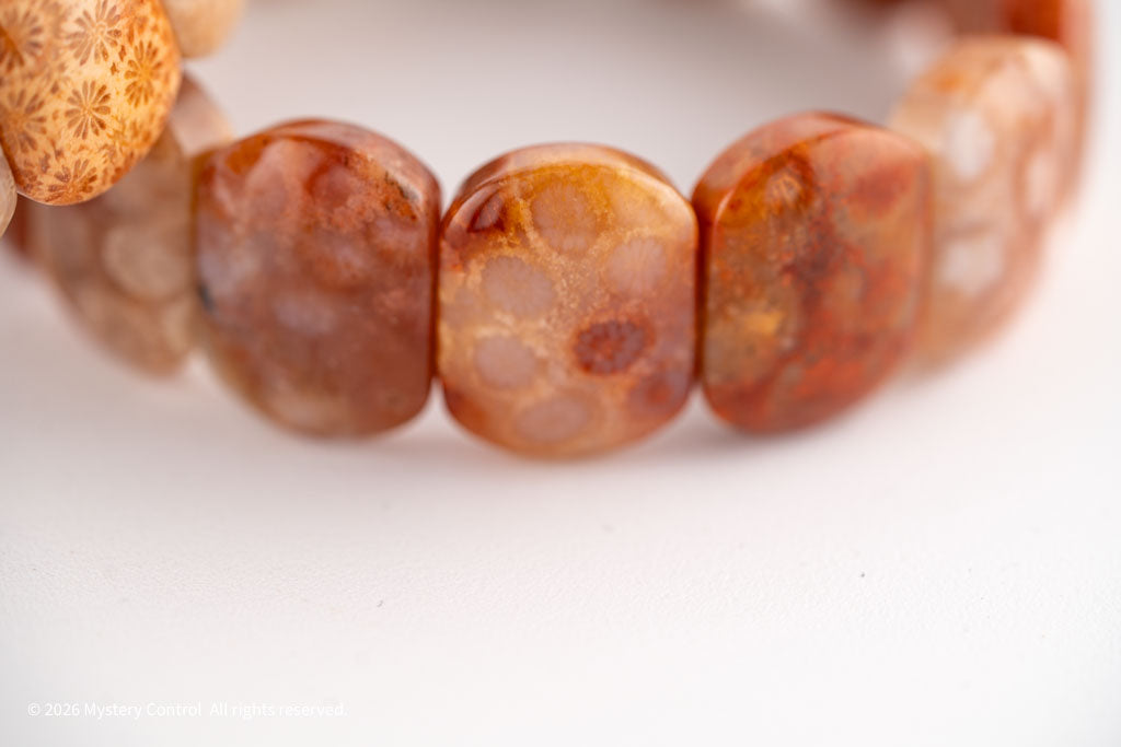 Chunky Fossil Coral Bracelet