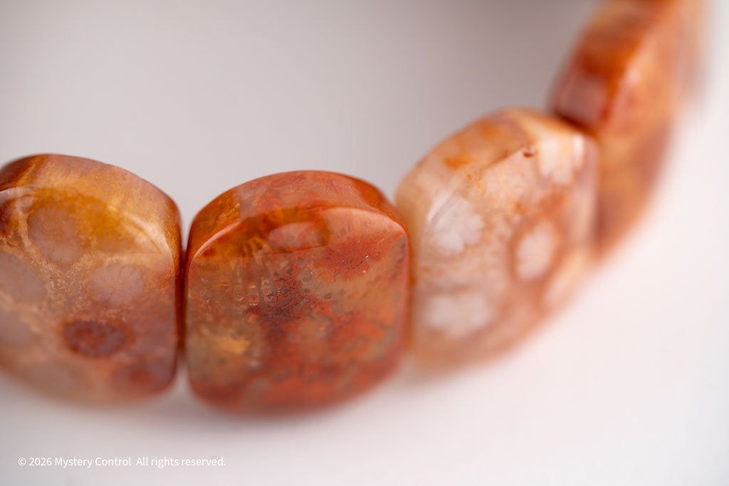 Chunky Fossil Coral Bracelet