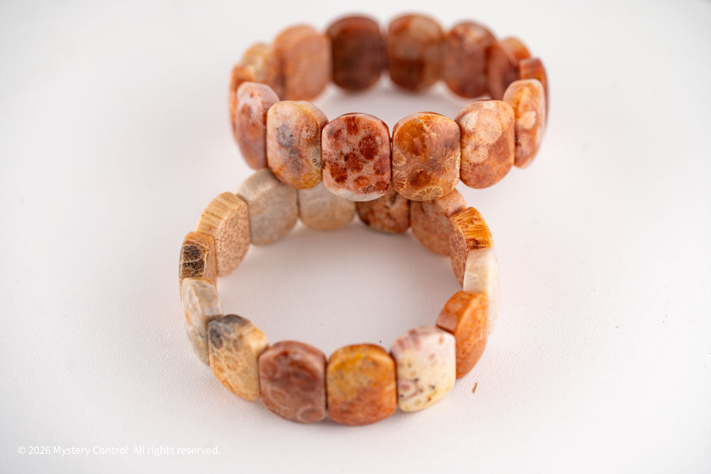 Chunky Fossil Coral Bracelet
