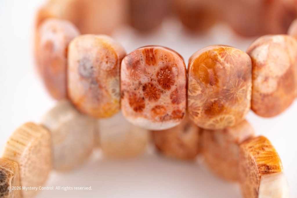 Chunky Fossil Coral Bracelet