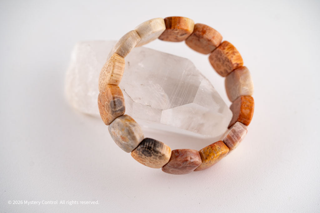 Chunky Fossil Coral Bracelet