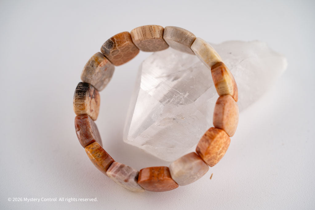 Chunky Fossil Coral Bracelet