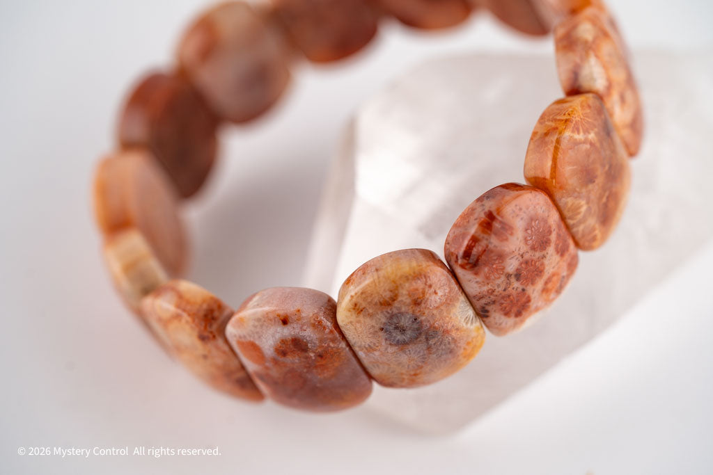 Chunky Fossil Coral Bracelet