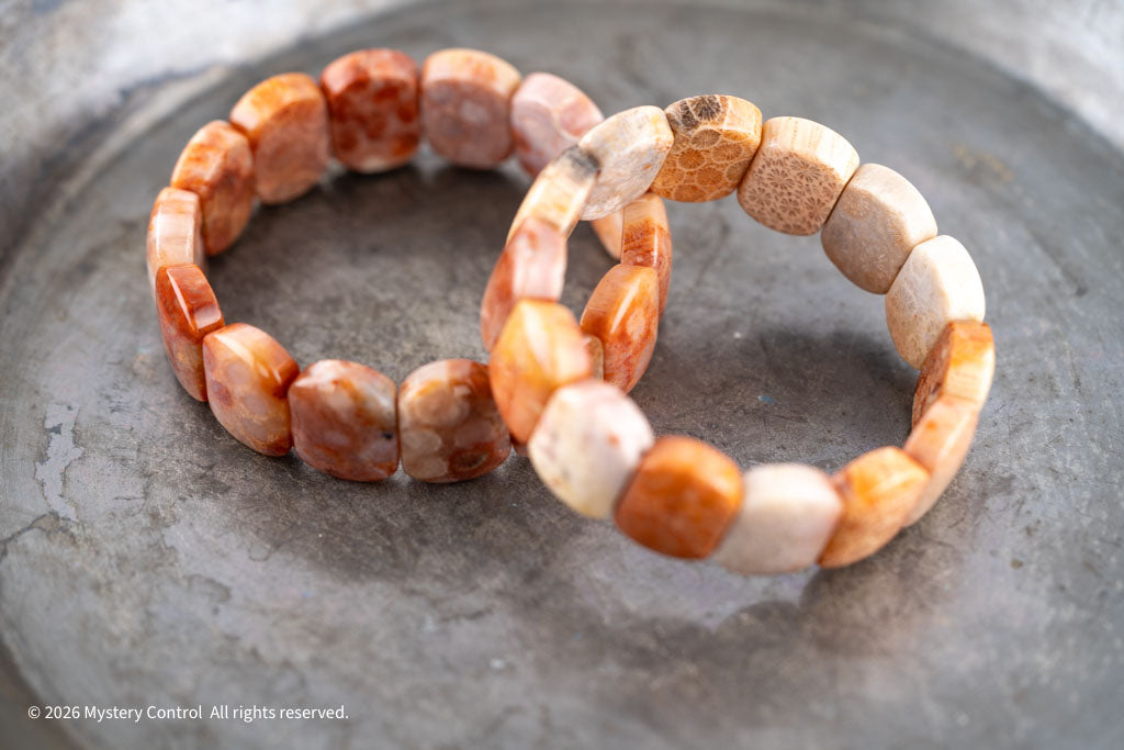 Chunky Fossil Coral Bracelet