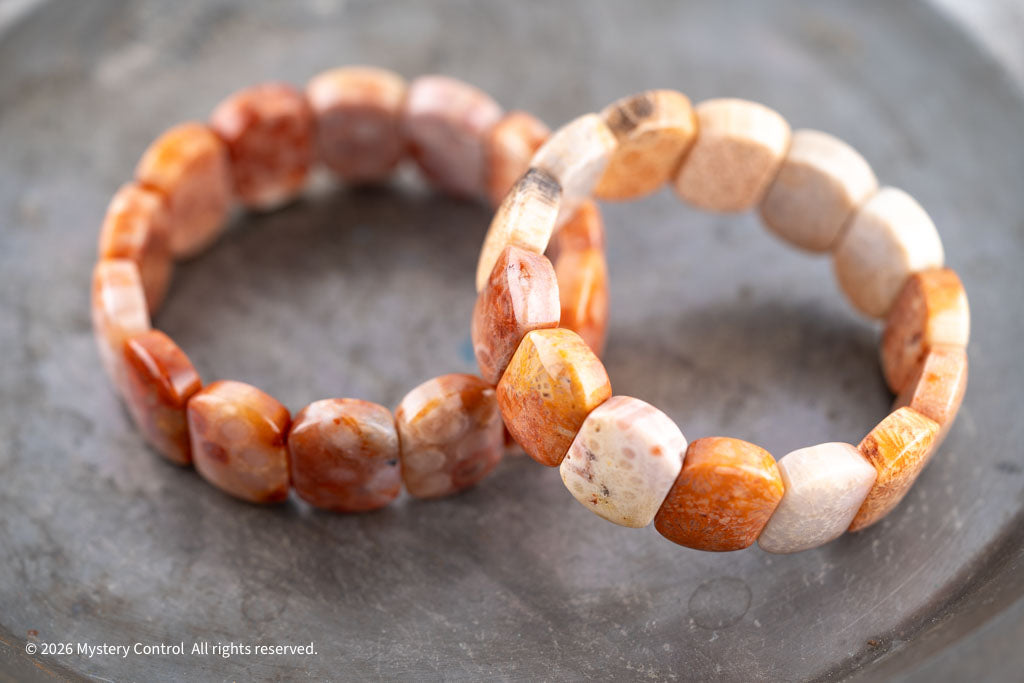 Chunky Fossil Coral Bracelet