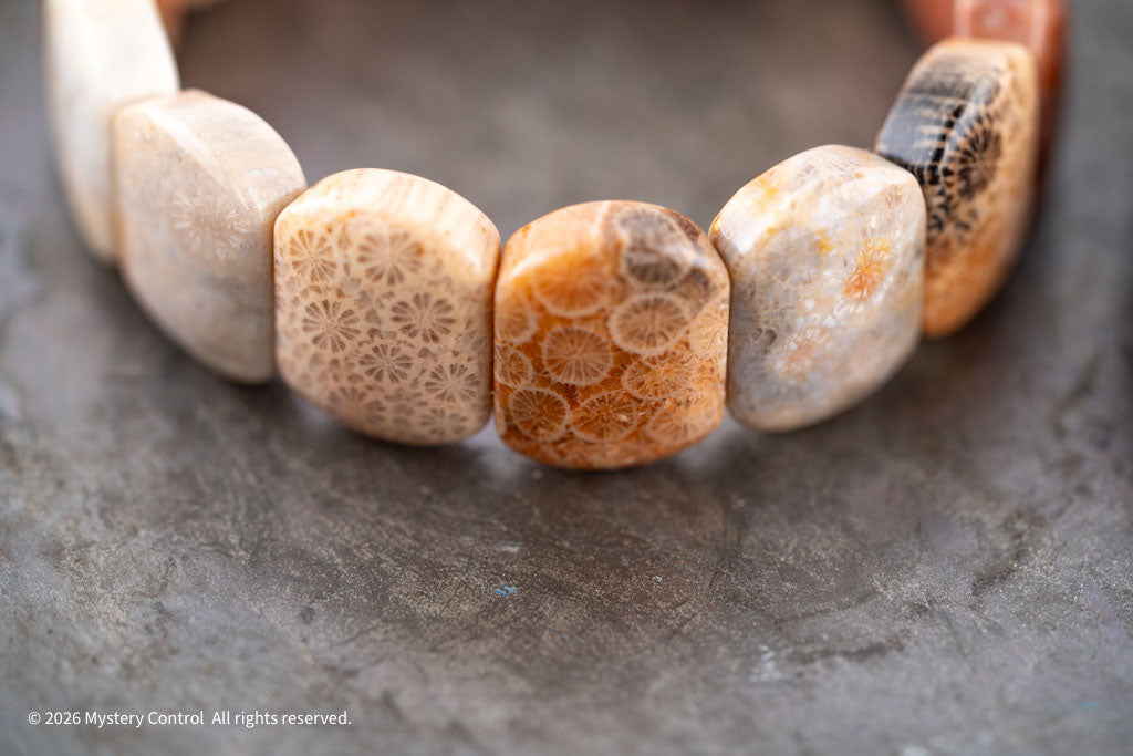 Chunky Fossil Coral Bracelet