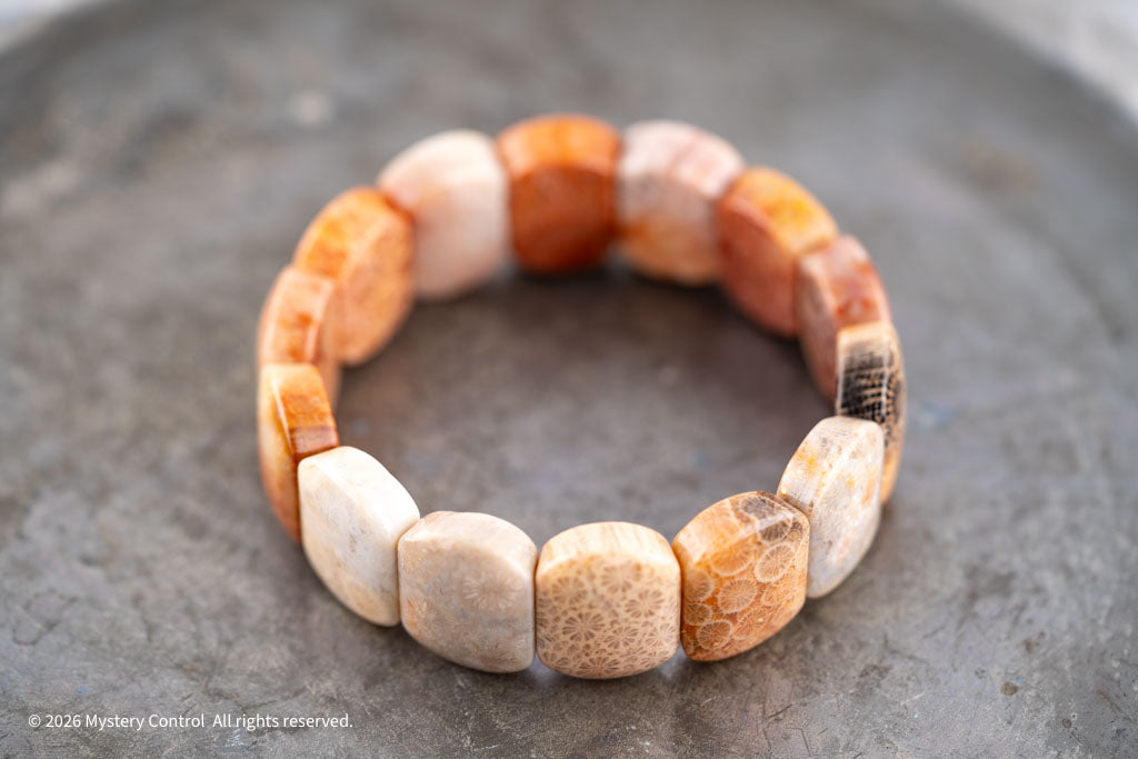 Chunky Fossil Coral Bracelet