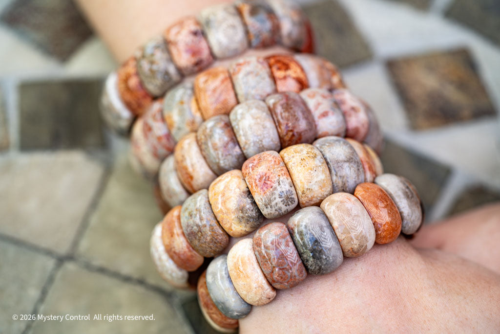 Moroccan Fossil Coral Bracelet