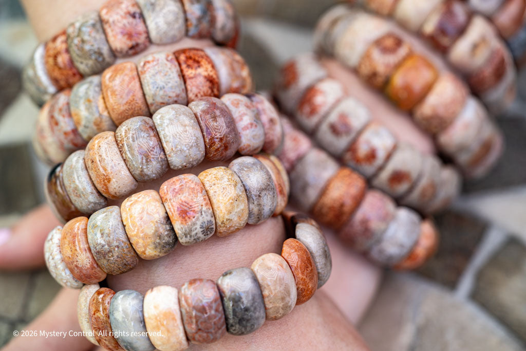 Moroccan Fossil Coral Bracelet
