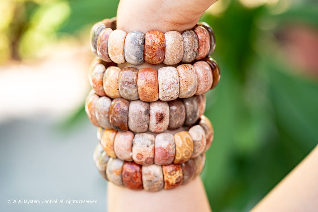 Moroccan Fossil Coral Bracelet