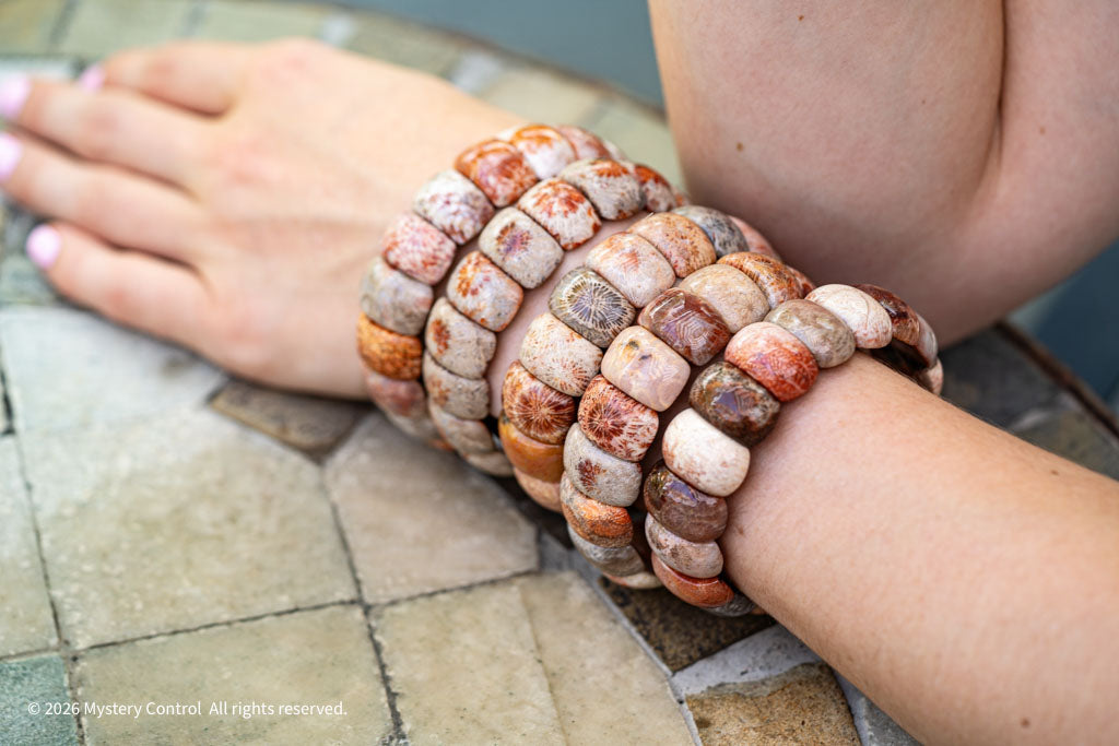 Moroccan Fossil Coral Bracelet