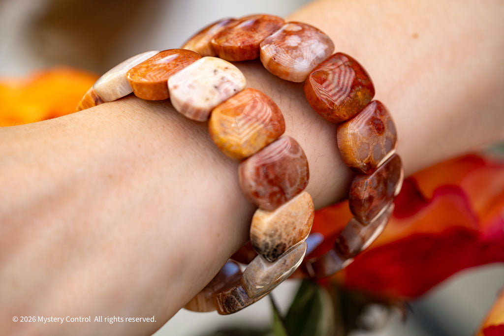 Chunky Fossil Coral Bracelet