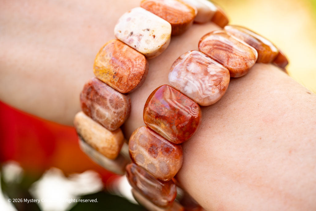 Chunky Fossil Coral Bracelet