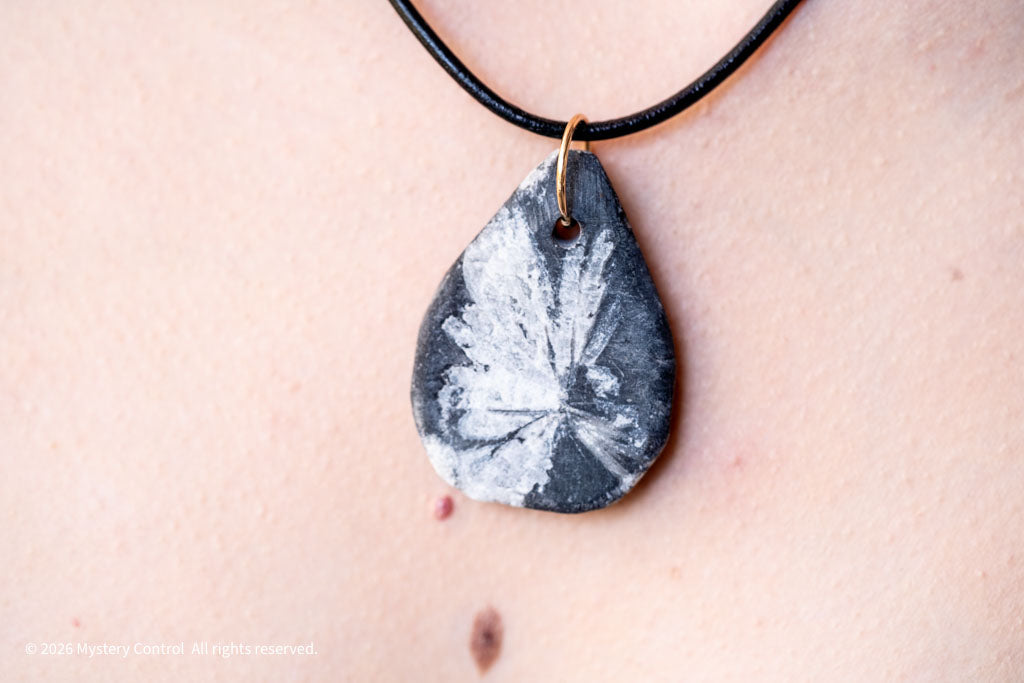Chrysanthemum Stone 14K GF & Leather Necklace