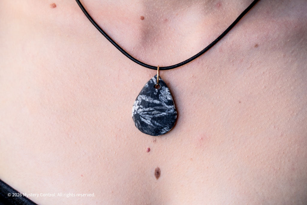 Chrysanthemum Stone 14K GF & Leather Necklace
