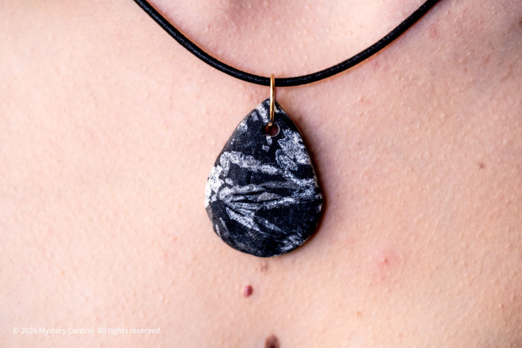 Chrysanthemum Stone 14K GF & Leather Necklace