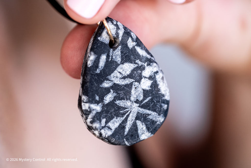 Chrysanthemum Stone 14K GF & Leather Necklace