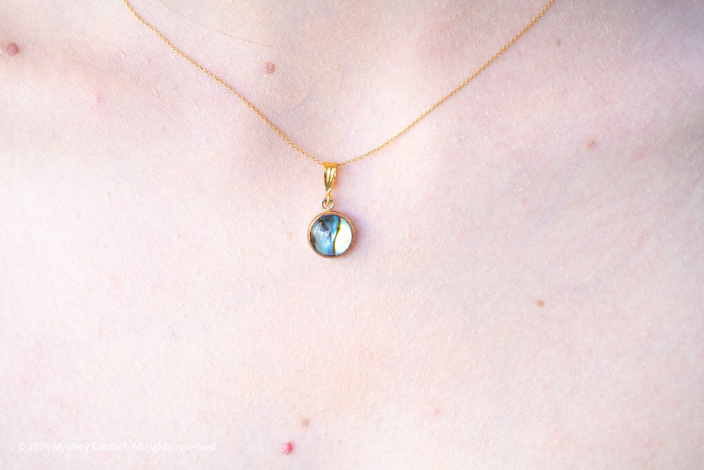 Abalone Charm Necklace in 14K Gold-Filled 925 Silver