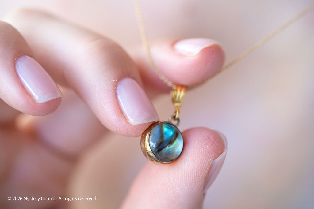 Abalone Charm Necklace in 14K Gold-Filled 925 Silver