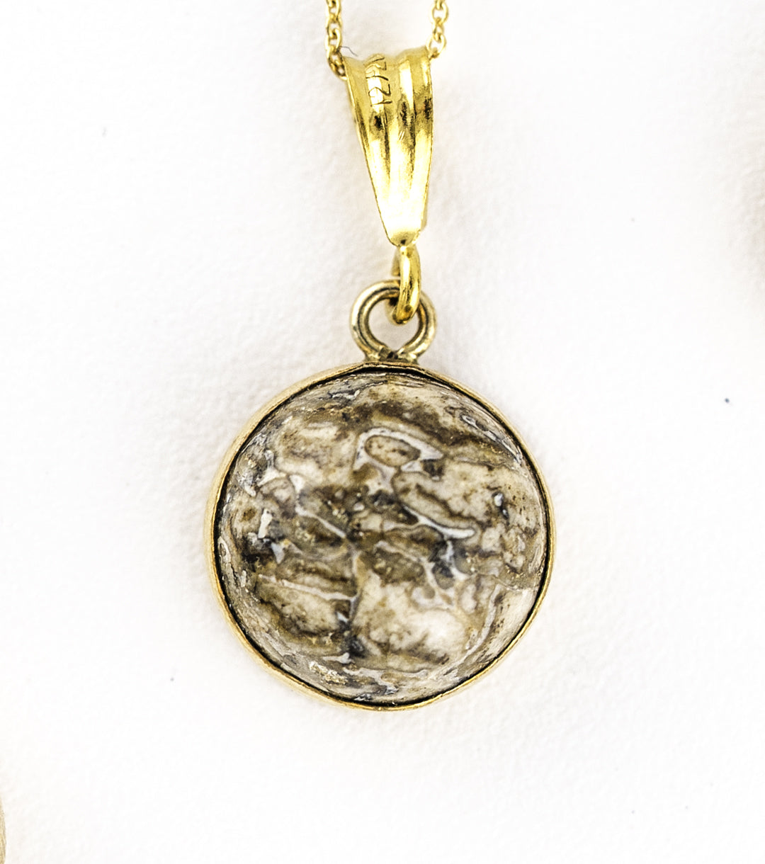 Moroccan Dinosaur Bone with 14K Gold-Filled 925 Silver Charm Necklace