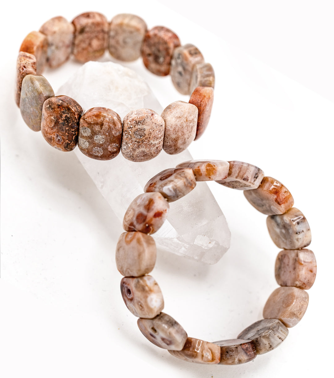 Chunky Fossil Coral Bracelet