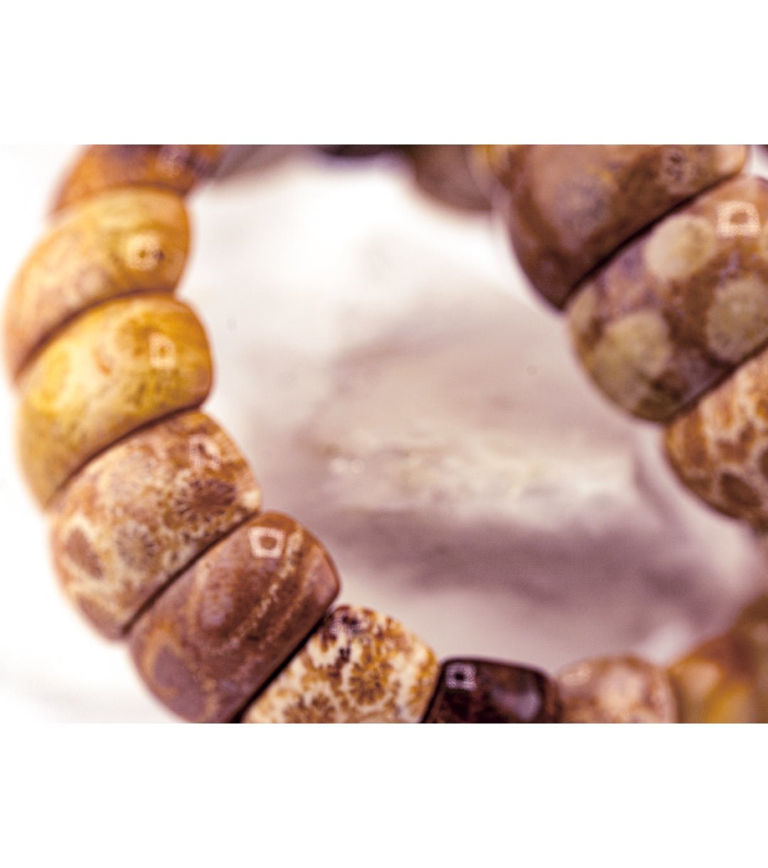 Moroccan Fossil Coral Bracelet