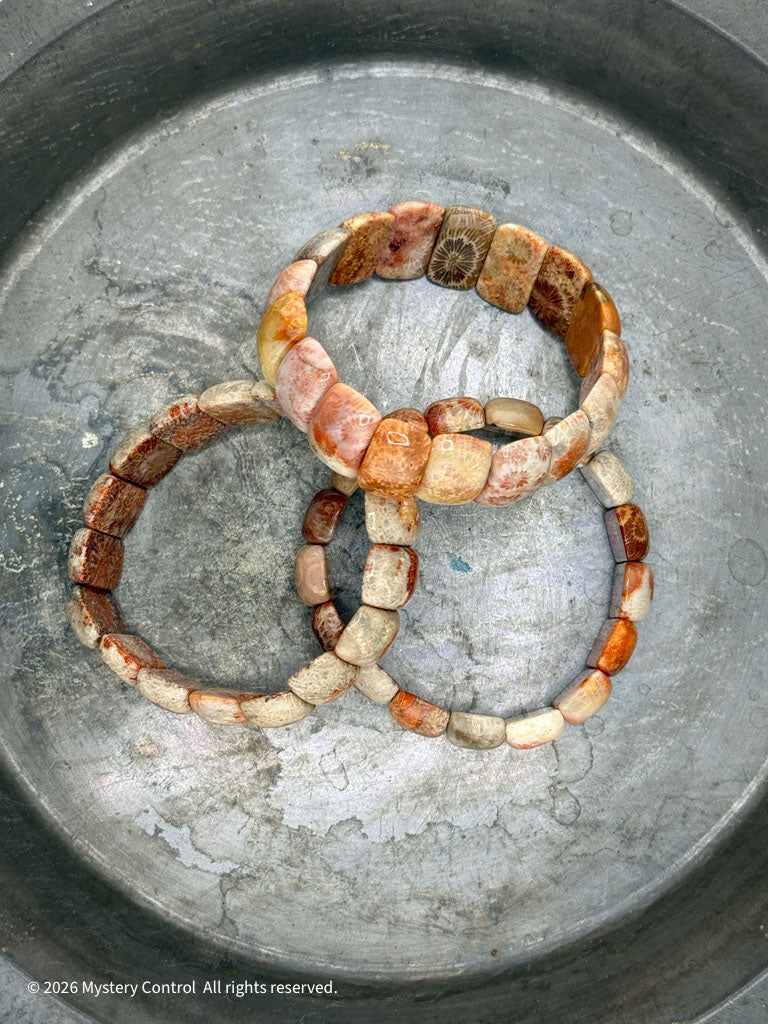 Moprroccan Fossil Coral Bracelets