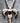 Garnet Vampire Ankh in 925 Silver Necklace