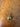Golden Meteorite and 14K Gold-Filled 925 Silver Charm Necklace