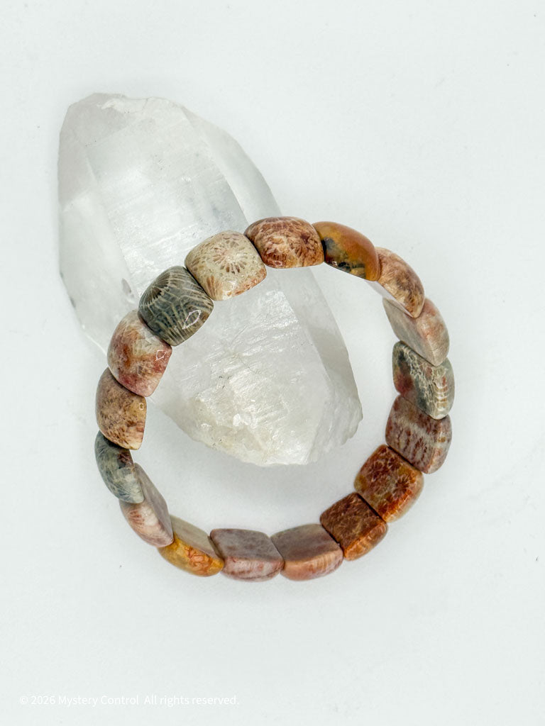 Moroccan Fossil Coral Bracelet