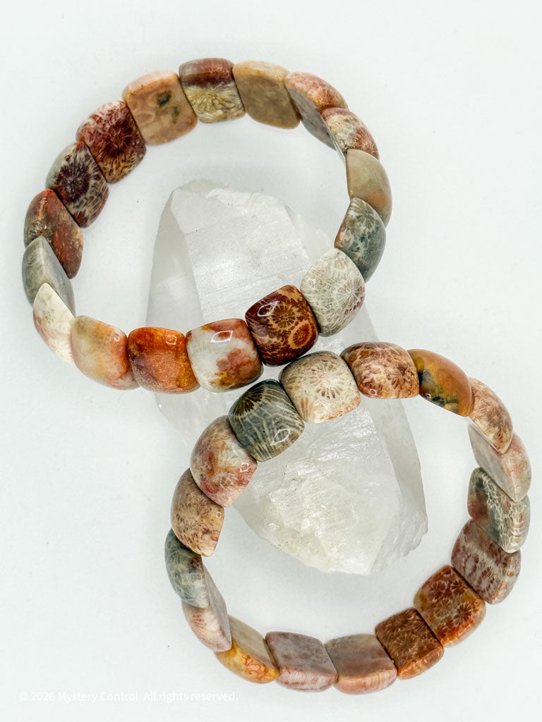 Moroccan Fossil Coral Bracelet