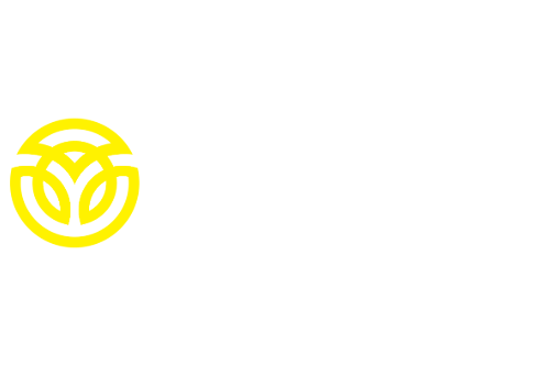 Mystery Control