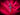 Rose Tourmaline