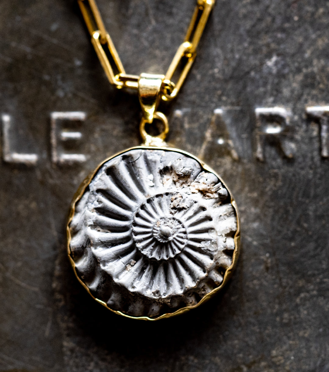 Ammonite in Pyrite in 925 Silver & 14K Gold-Fill Necklace