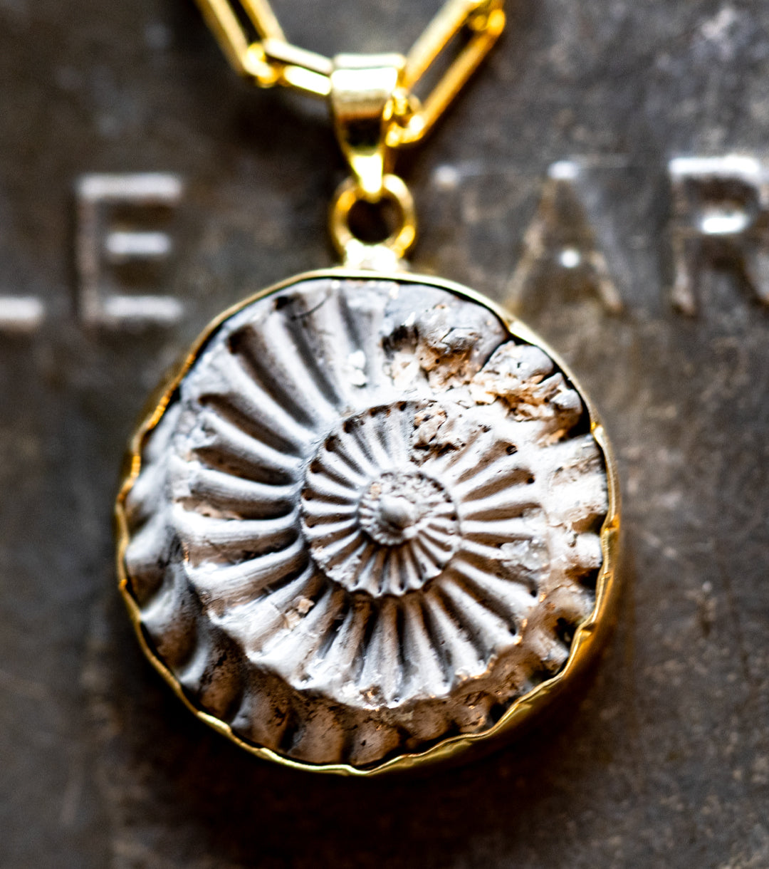 Ammonite in Pyrite in 925 Silver & 14K Gold-Fill Necklace