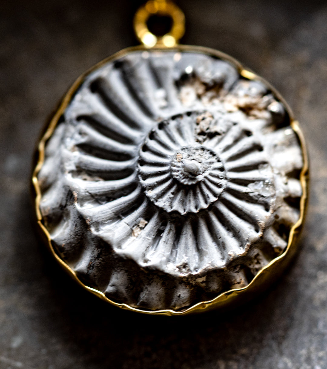 Ammonite in Pyrite in 925 Silver & 14K Gold-Fill Necklace
