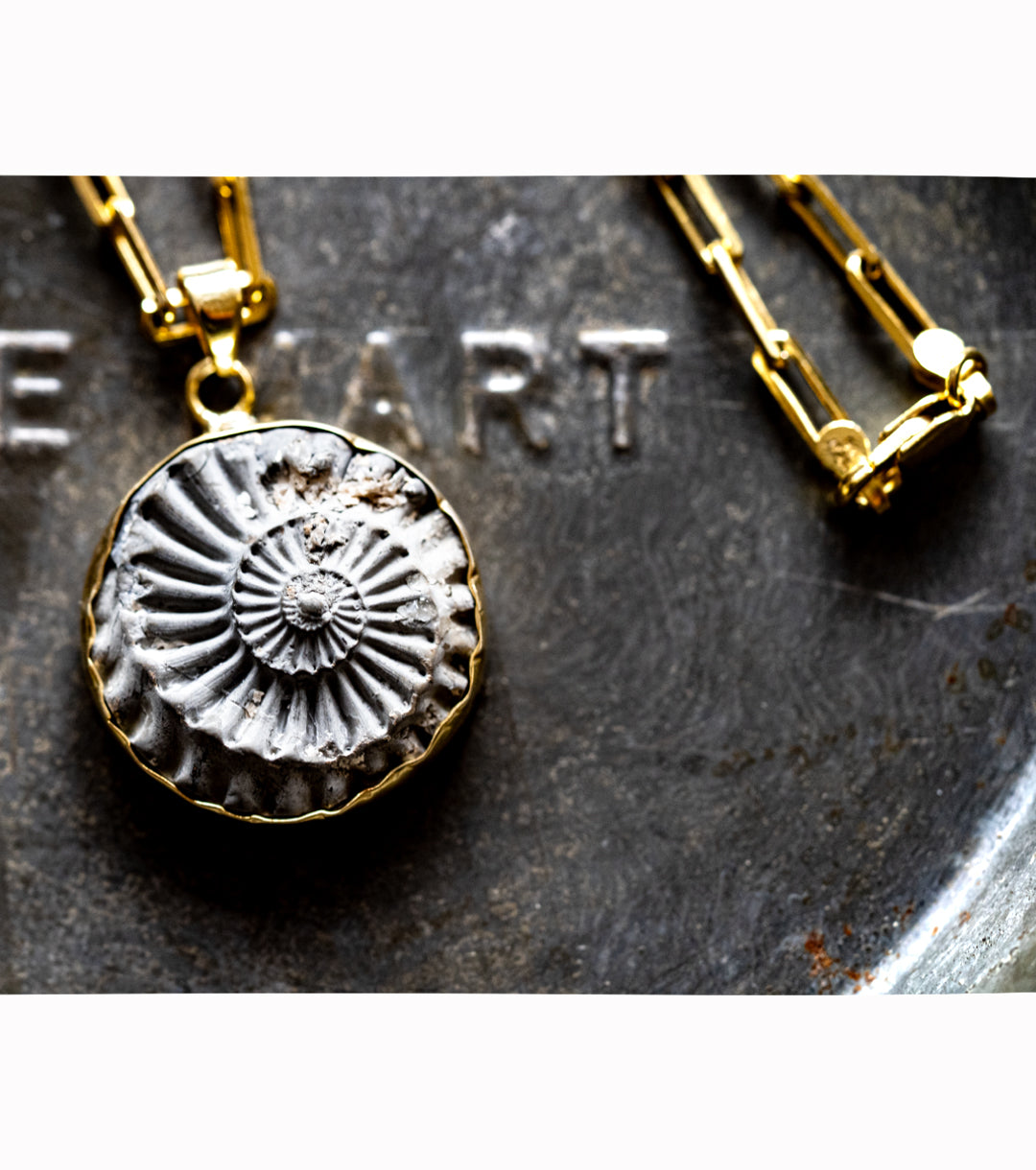 Ammonite in Pyrite in 925 Silver & 14K Gold-Fill Necklace