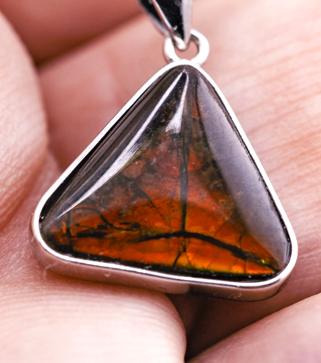 Wizard's Triangle Fossil Ammolite 925 Silver & Leather Necklace