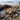 This is an AI generated background with a photo of genuine Moroccan Fossil Coral Bracelets in the foreground