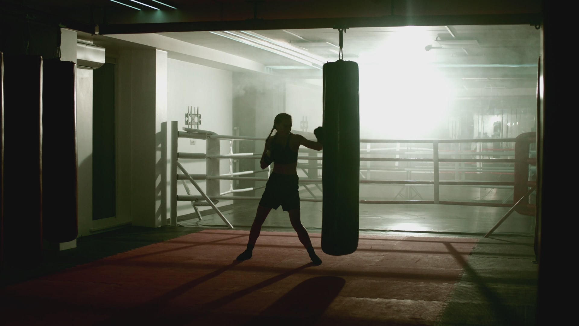 The Sentimental Assassin by Sam W. Anderson