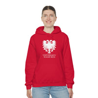 University Magickus "Double Dragon" Unisex Heavy Blend™ Hoodie