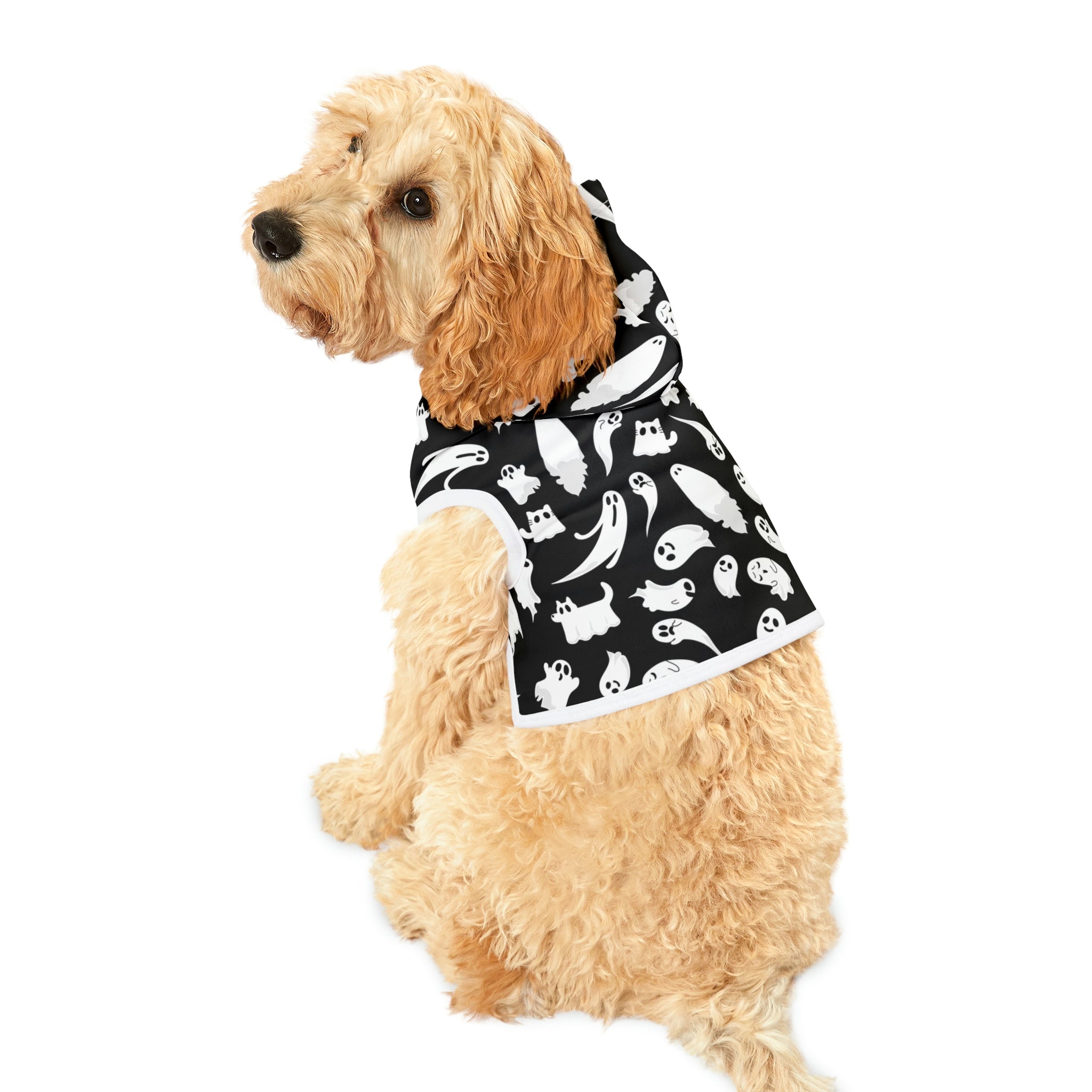 Scared & Alone Boo-tiful Pet Hoodie
